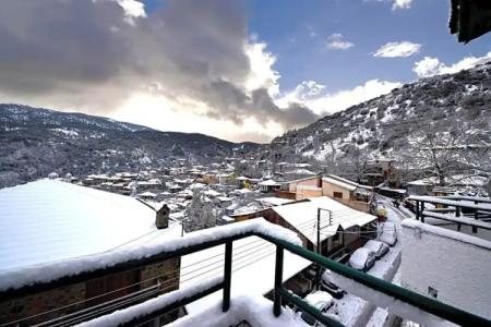 Central Privilege - 83