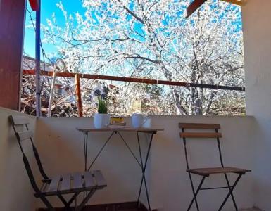 Central Privilege - 50