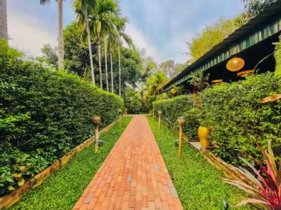 Central Privilege - 23