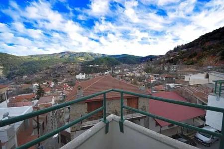 Central Privilege - 82