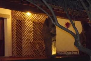 Bed & Breakfast «Il Vecchio Ginepro», Arzachena