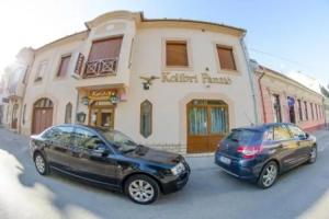 Kolibri Panzio, Baja