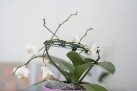 Kristall Suites - 30