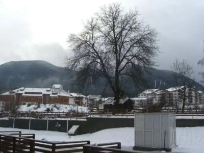 Mountain View Aparthotel