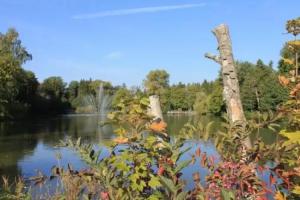 Hotel Salinensee, Bad Durrheim