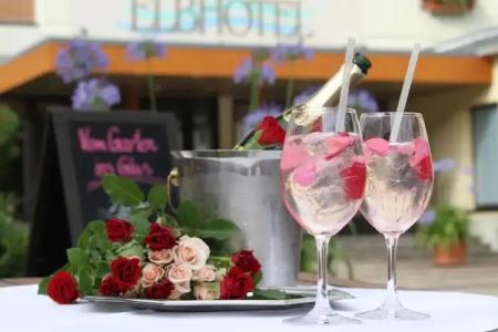 ElbBad Schandau - 11