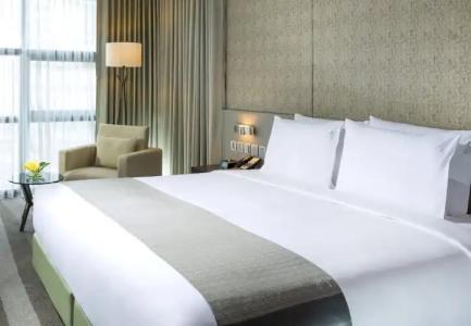 Holiday Inn Bangkok Sukhumvit, an IHG - 109