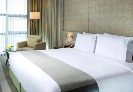 Holiday Inn Bangkok Sukhumvit, an IHG - 148