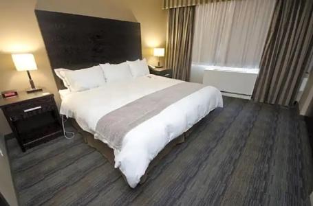 Radisson Winnipeg Downtown - 58