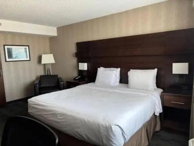 Radisson Winnipeg Downtown - 24