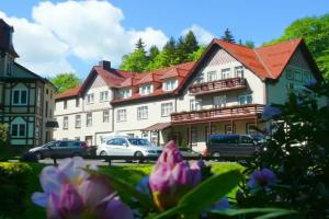 Waldhotel Friedrichroda, Friedrichroda