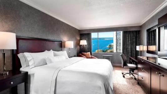 The Westin Harbour Castle, Toronto - 56