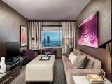 1 Bedroom Suite with city view