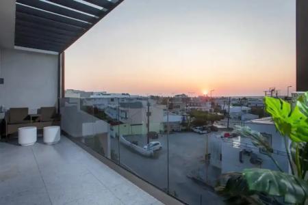 Jimmy’s Garden - 51