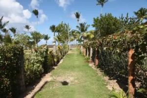 Chaykovski Boutique H Mini-hotel, Las Terrenas