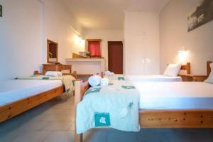 Tota Studios, Tsilivi-Planos