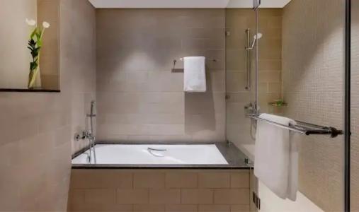 Grand Millennium Al Wahda and Executive Apartments Abu Dhabi - 145