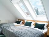 Standard Triple Duplex room