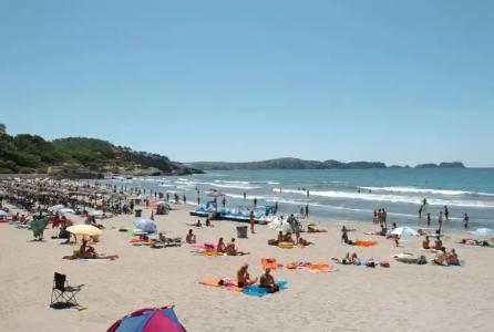 Playas de Paguera - 19