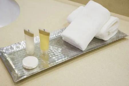 Saskatoon Inn & Conference Centre - 12