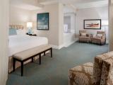 1 Bedroom Suite with city view