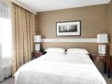 Executive Double Suite with city view