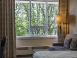 1 Bedroom Double Suite with park view