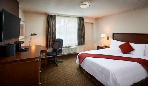 Best Western Plus Guildwood Inn - 67