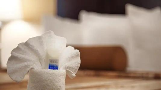 Best Western Plus Guildwood Inn - 36