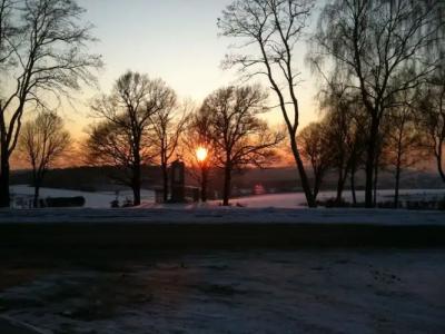 Restaurant Fischer - 10