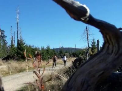 Rock Resort Sankt Andreasberg - 11