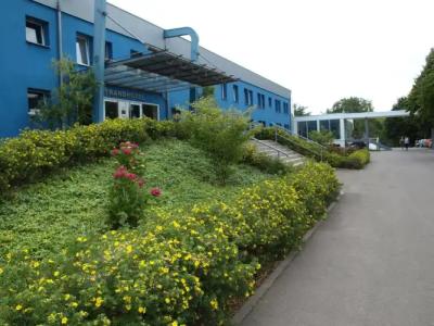 StrandSenftenberger See - 31