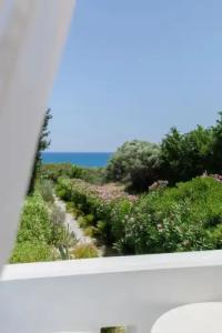 Eco Beach And Magic Garden - 135