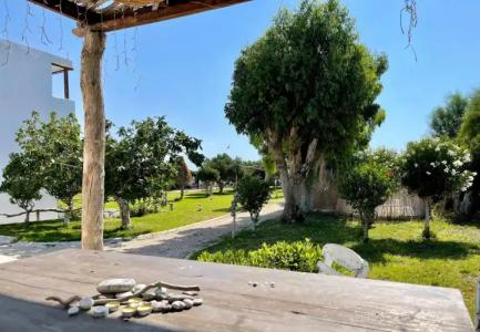 Eco Beach And Magic Garden - 18