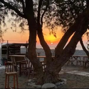 Eco Beach And Magic Garden - 48