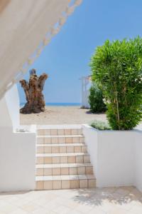 Eco Beach And Magic Garden - 155