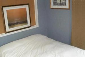 Auberge Internationale Espace Globetrotter, Rimouski