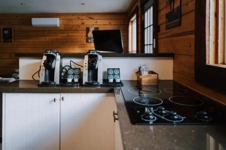 Glacier House & Resort - 29