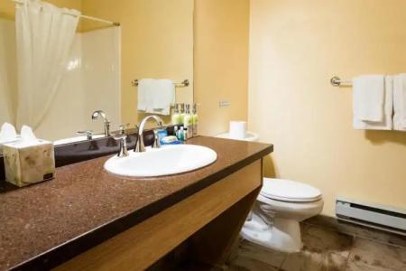 Glacier House & Resort - 103