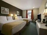 1 Bedroom Quadruple Suite