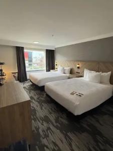 Sandman Red Deer - 15