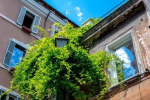 Navona Open Space Apartments, Rome