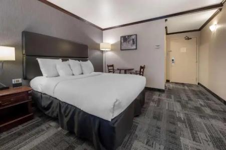 Quebec Best Western PLUS Centre-Ville - City Center - 128