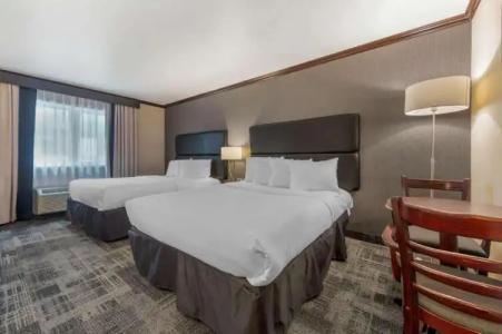 Quebec Best Western PLUS Centre-Ville - City Center - 129