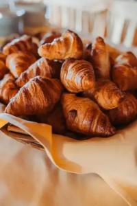 SchlossSteinburg - 18