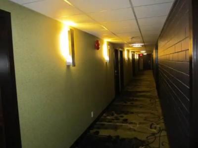 Inn on the Harbour - 13