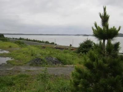 Inn on the Harbour - 16