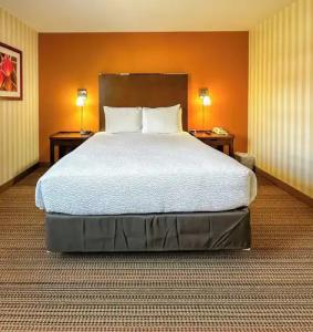 Prestige Prince George Lodge - 74