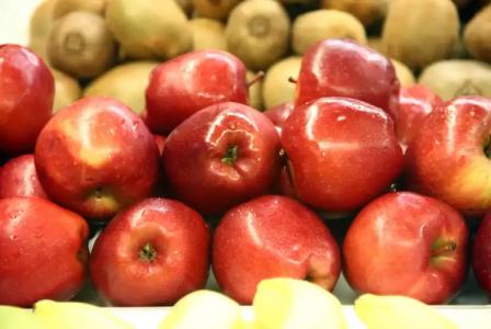 Tossa Beach Center - 37