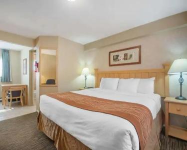 Econo Lodge Inn & Suites - North Vancouver - 3